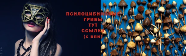 стафф Абинск