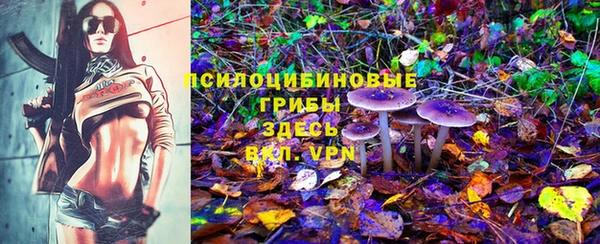 ГАЛЛЮЦИНОГЕННЫЕ ГРИБЫ Нягань