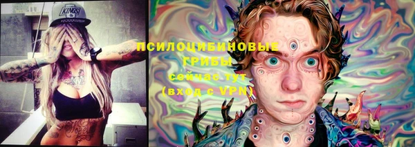 прущая мука Няндома