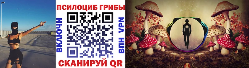 Галлюциногенные грибы Psilocybe  Власиха 